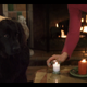 Image for article titled I Watched the Only Rom Com I Refused to Watch